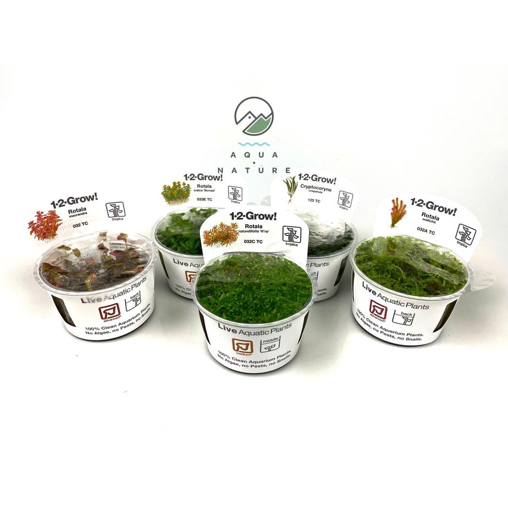 Tropica Prices And Promotions Oct 21 Shopee Malaysia