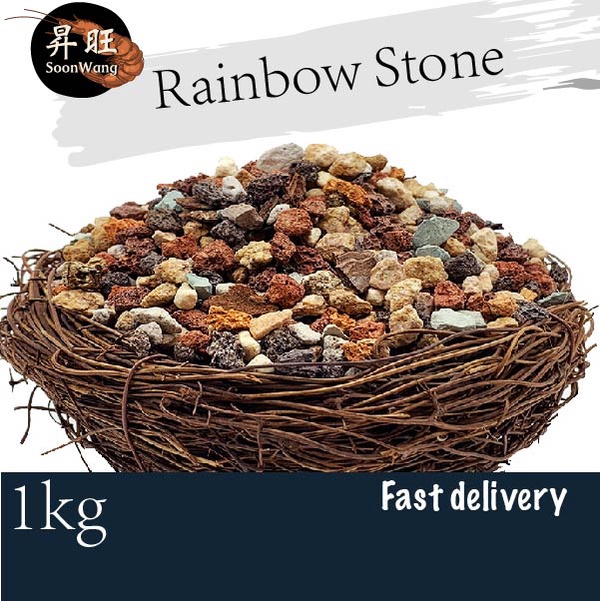 [1KG] RAINBOW SUCCULENT | CACTUS SOIL STONE BATU TANAH KAKTUS GARDENING | 虹彩石