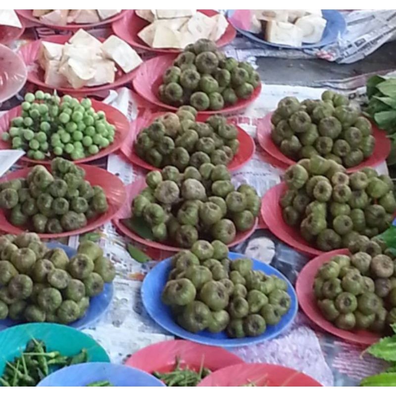 buah ara untuk ulam/ masak gulai kambing