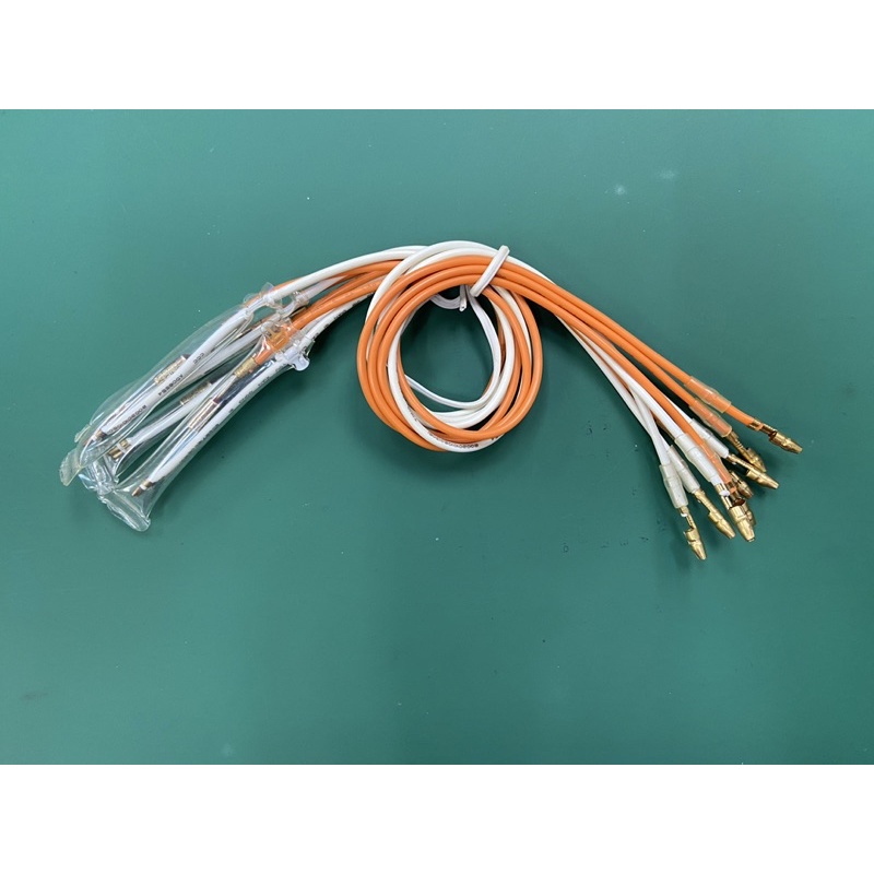 Refrigerator Fuse 10A 76C 250V Fridge Fuse Shopee Malaysia