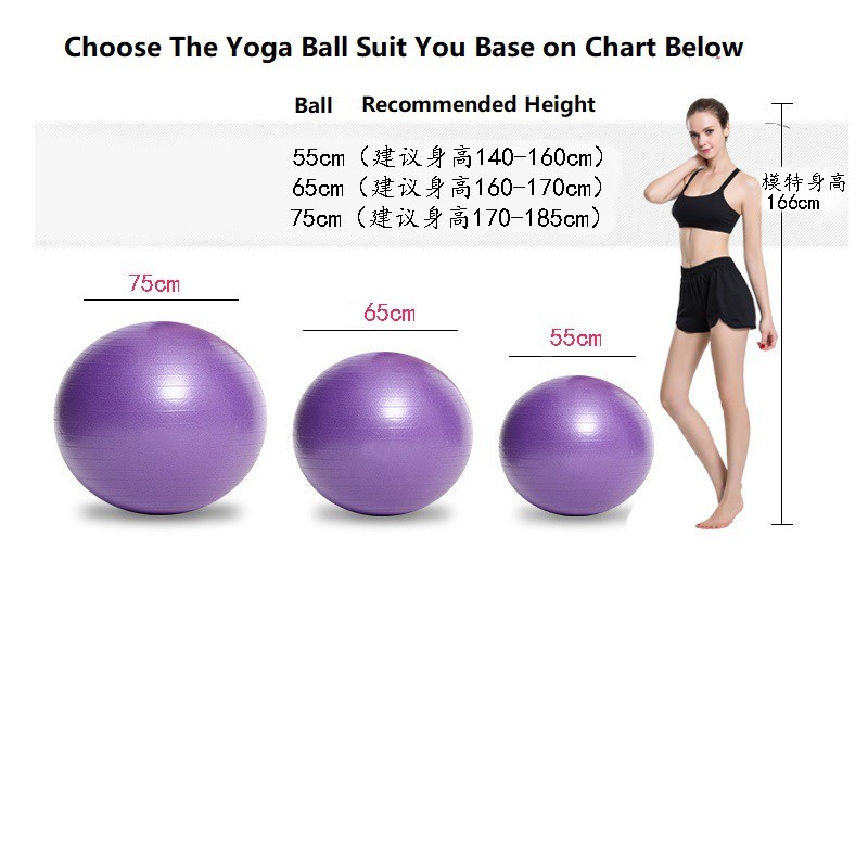 ECOMALL] 55cm/ 65cm/ 75cm EcoSport Stability Yoga Ball Exercise ...