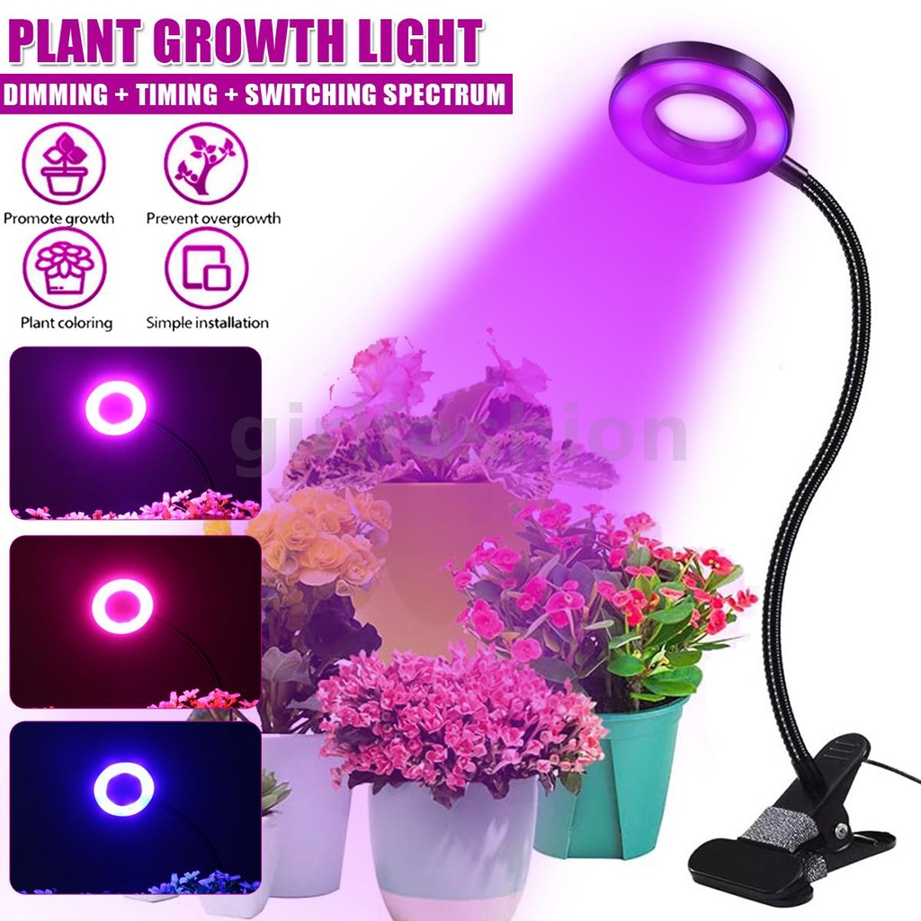 10W Redblue light Plant growth light Shopee Malaysia