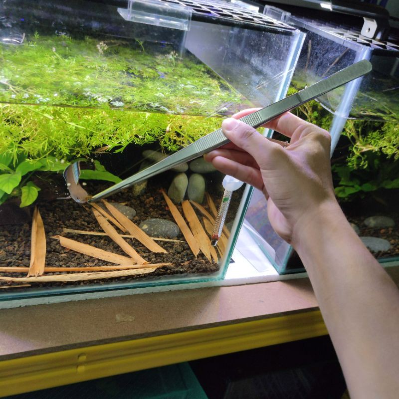 Aqua/Reptile Feeding Tongs Tweezers 25cm/30cm 304 Stainless Steel