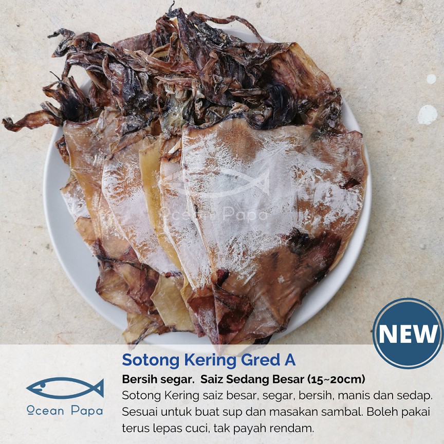 Buy Ocean Papa Sotong Kering Gred 3a A Mini 100g Dried Squid Seetracker Malaysia