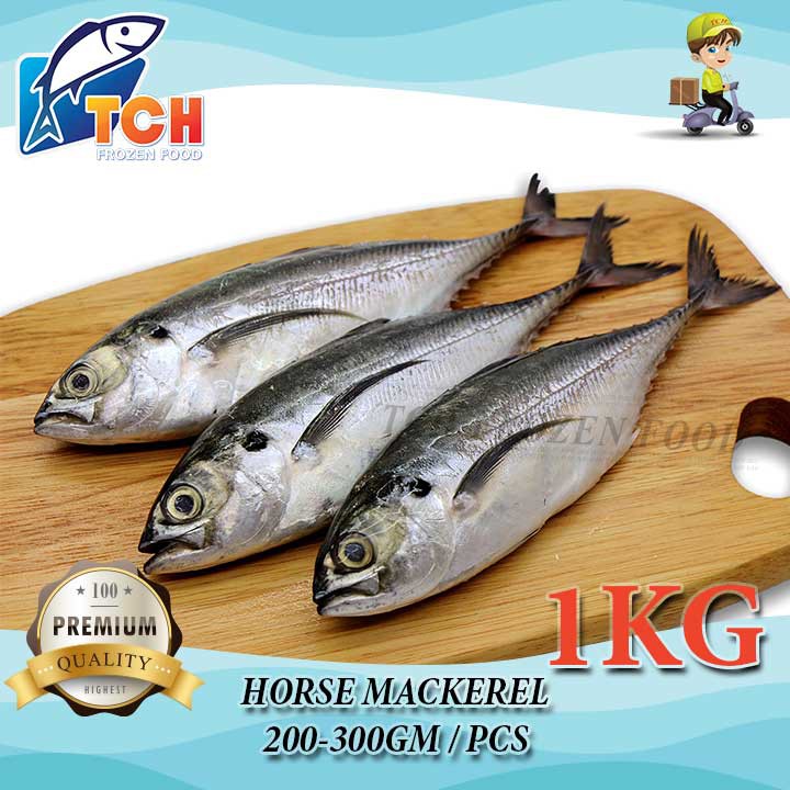 Buy Ikan Cencaru Horse Mackerel Tch Frozen Food Fresh Frozen Seafood Wholesale Supplier Fish Ikan Salmon Fillet Seetracker Malaysia