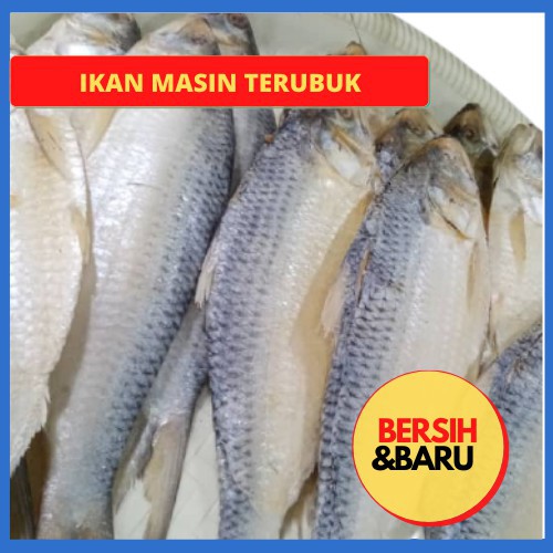 Terubuk masin