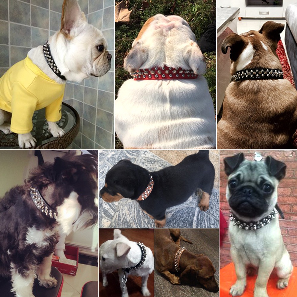 san jose sharks dog jersey