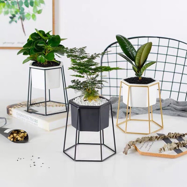 Minimalism Home Design Flower Pot Plant Rack Hexagon 