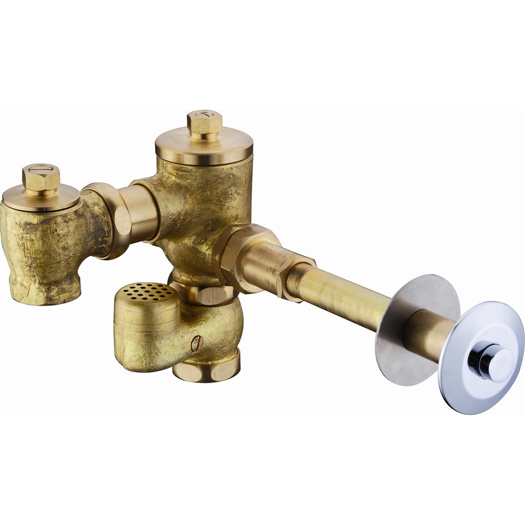 Conceal Toilet Flush Valve for Squat Pan Brass Concealed Flush Valve