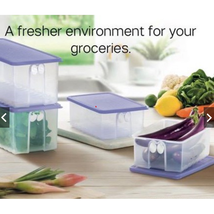 !!CLEARANCE SALES!! TUPPERWARE FRIDGESMART