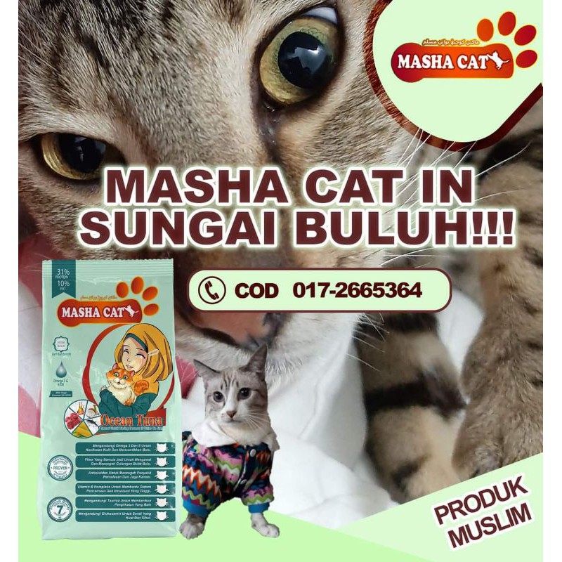 Makanan Kucing Murah Cat Food Masha Cat Anak Kucing Kibble Dry 