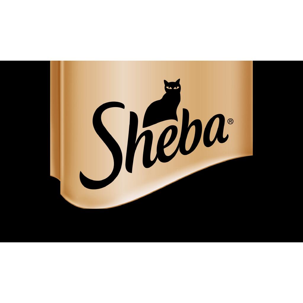 SHEBA Melty Cat Treats Katsuo & Katsuo and Salmon Flavors, (3Pack