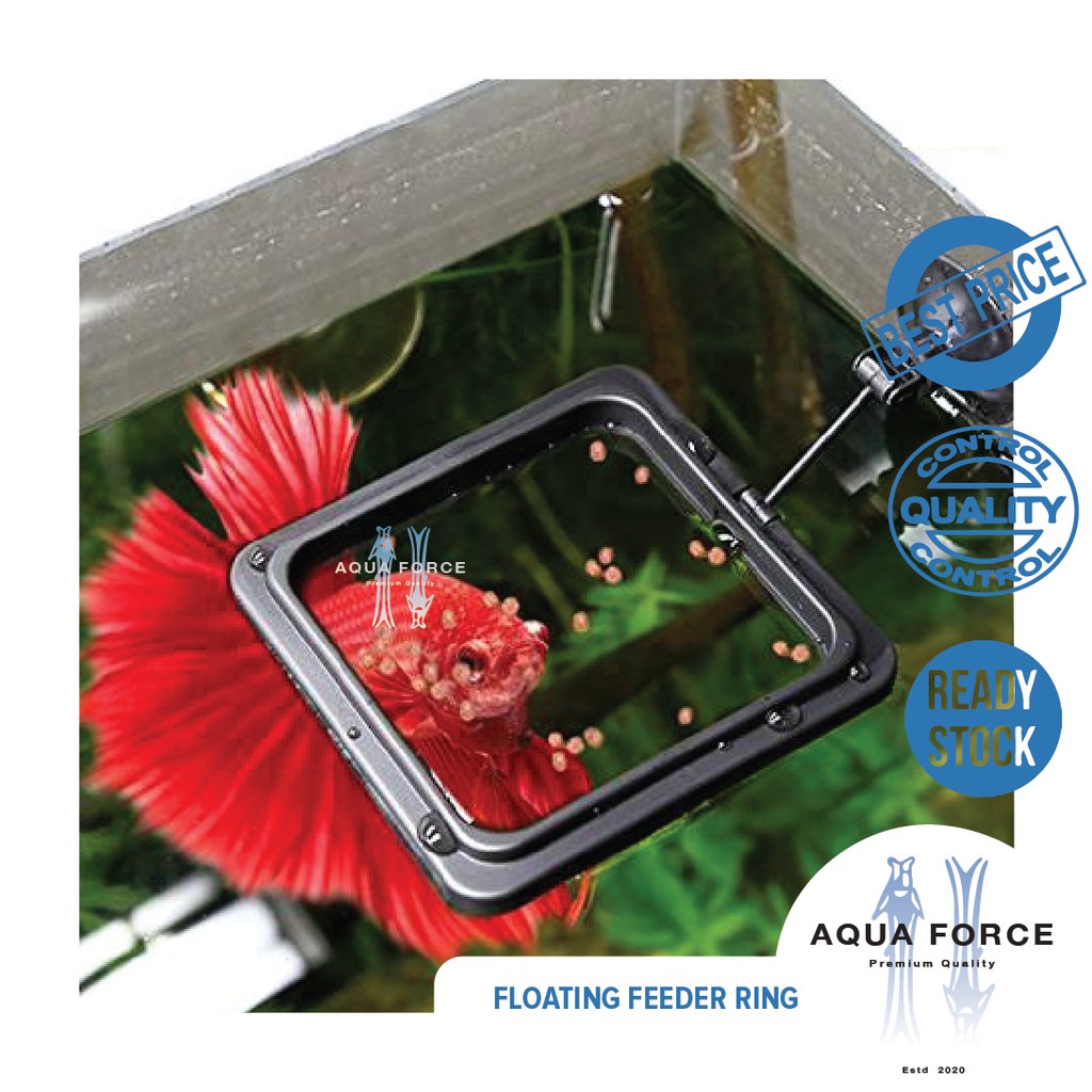 FEEDER RING AQUARIUM FLOATING FOOD TRAY SQUARE / CIRCLE betta guppy