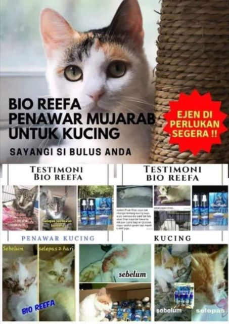 Bio Reefa -Penawar Kucing  Shopee Malaysia