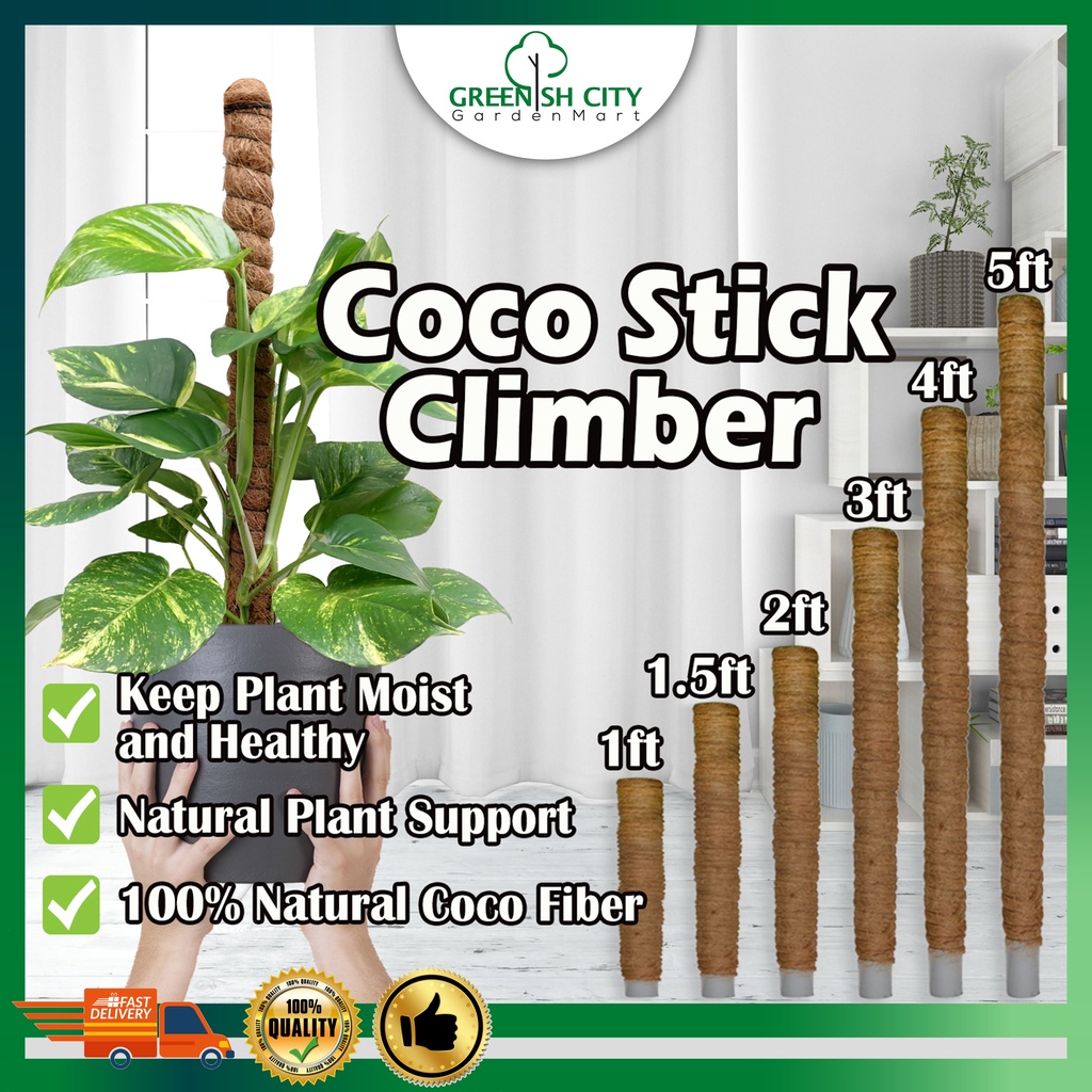 GNC Coco Stick Climbing Plant Coco Fiber Pole Plant Support Batang Sabut Kelapa Tiang Sabut Untuk Pokok Menjalar Climber