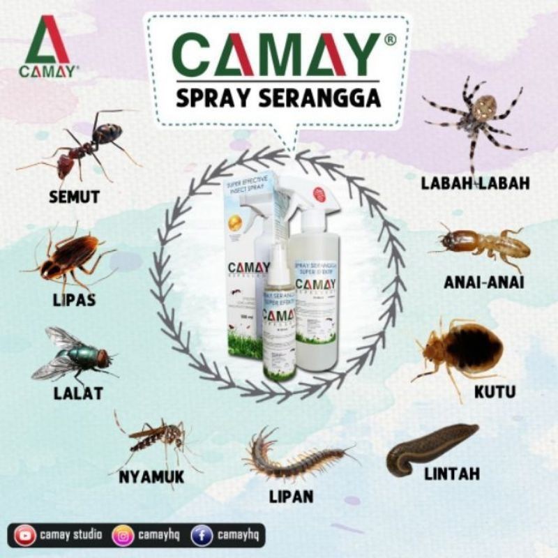 Pepijat Camay Repellent Camey Spray Racun Serangga Pelbagai Guna Anai Anai Kutu Pepijat Lipas Lalat Semut Nyamuk Lintah Shopee Malaysia