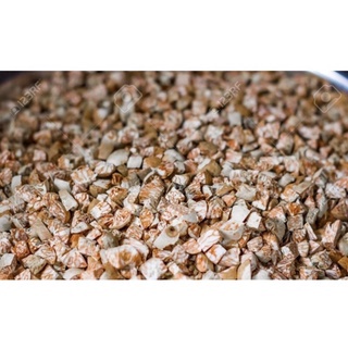 Buah Pinang Kering 1 2 Kg Shopee Malaysia