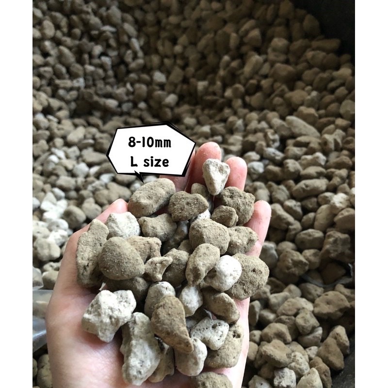 Aquarium Pumice Stone 500g Shopee Malaysia