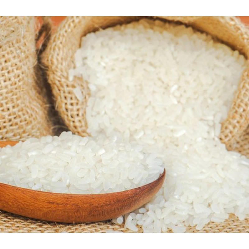 Vietnamese Fragrant White Rice 5kg / Gạo Thơm Tám Xoan | BeeCost