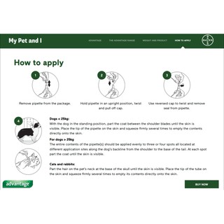 Bayer Advantage Cat Spot On S / Ubat Kutu Kucing  Shopee 