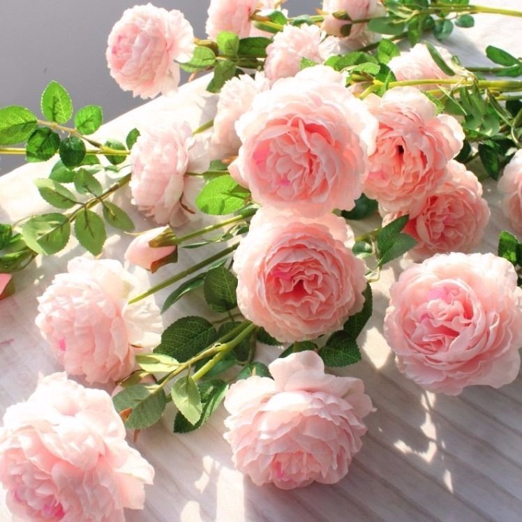 3 Heads Pink White Peonies Silk Flower /Rose Artificial Flowers / silk peony  artificial flowers / Wedding Garden Decoration / Fake Flower Bouquet Peony  Color | Shopee Malaysia