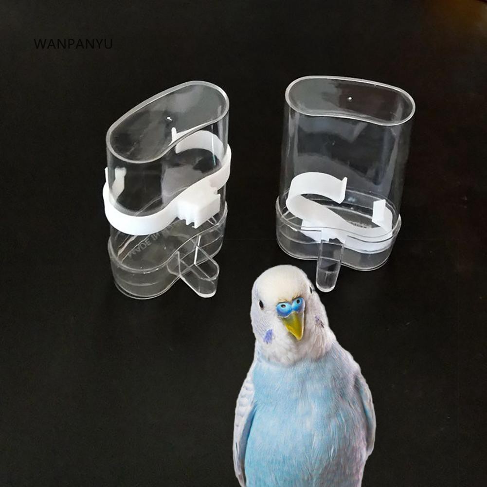 Wp Bird Water Feeder Feeding Automatic Drinking Bowl Dispenser