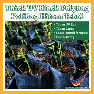 Thick UV Fertigation Black Polybag Fertigasi Polibag Hitam