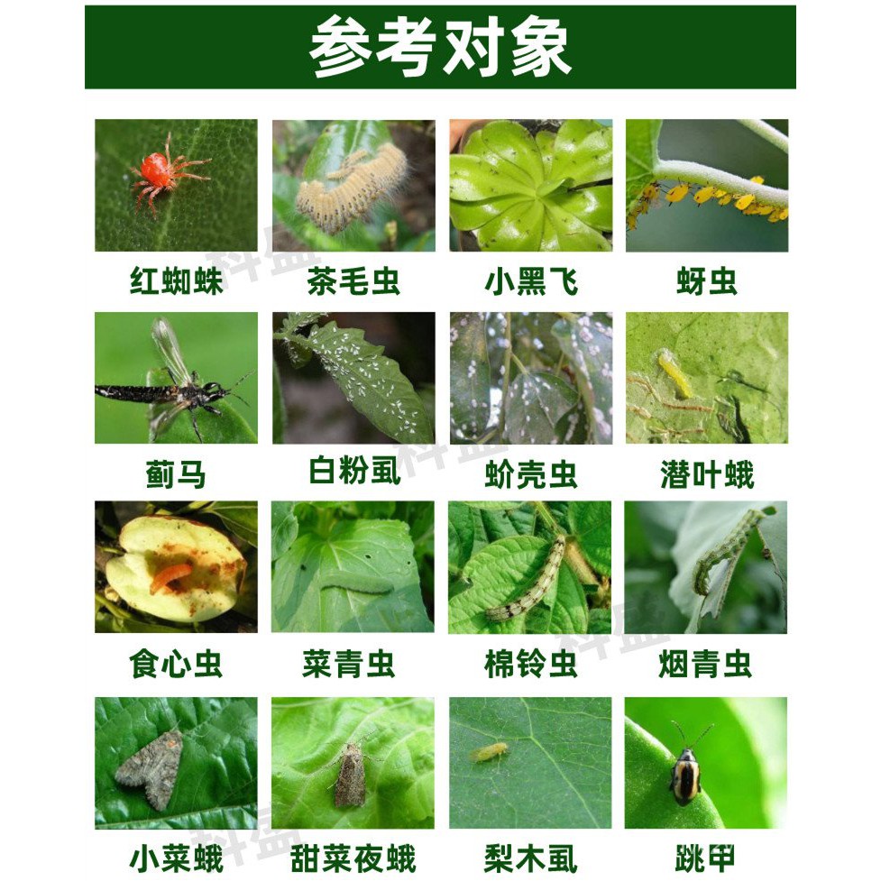 Pesticide苦参碱果树蔬菜花卉白粉虱菜青虫黄蚜虫红蜘蛛绿色有机农药杀虫剂 Shopee Malaysia