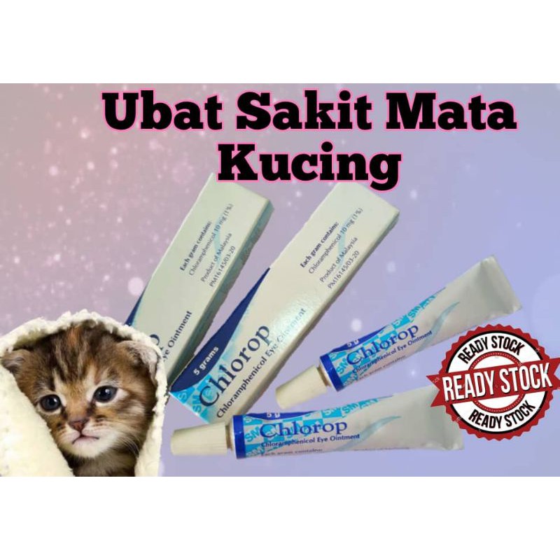 Ubat sakit mata anak kucing