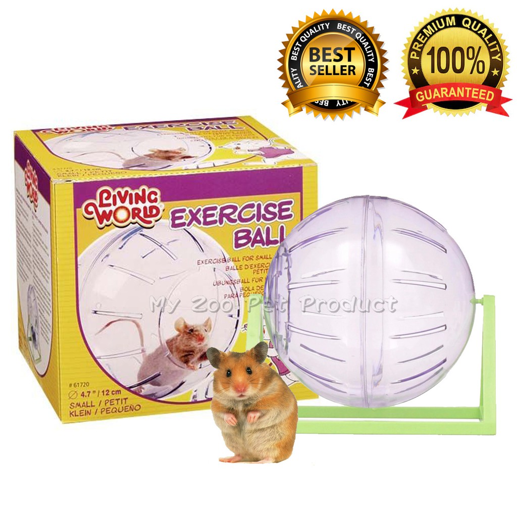 hamster ball shopee