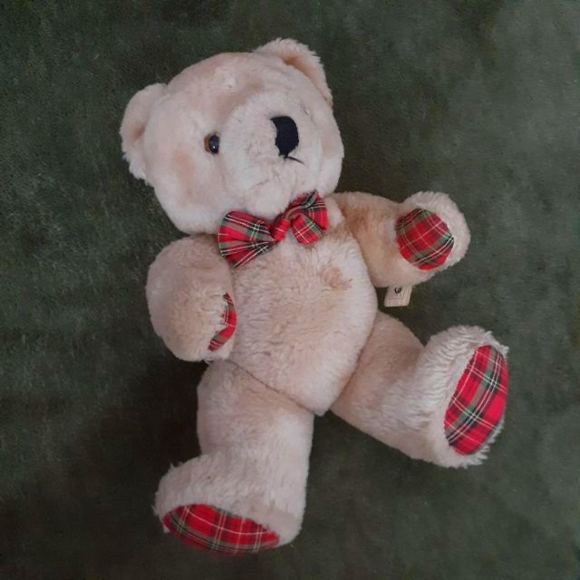 teddy bear comel