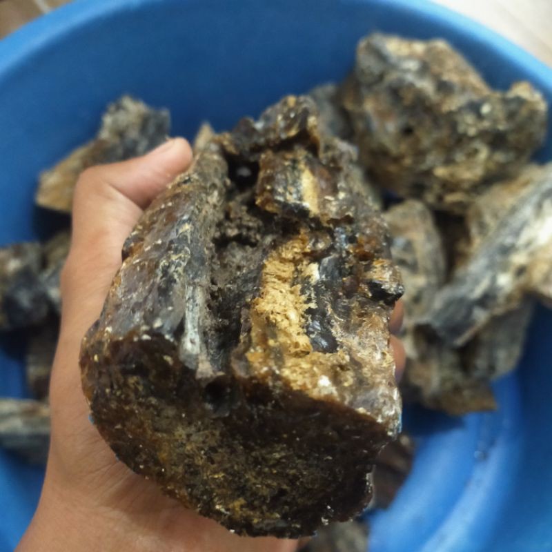 Buy Damar hitam katilayu batu kemenyan Amber getah pokok berdamar 