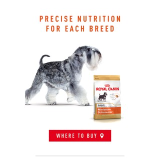 royal canin dog food schnauzer