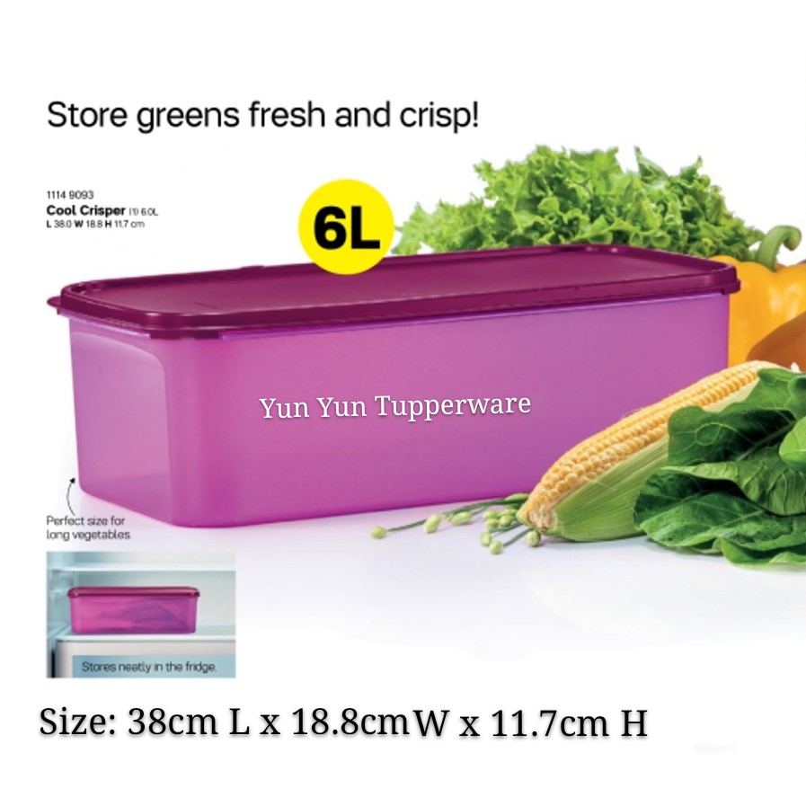 Tupperware Cool Crisper (Modular Mates) 6.0L