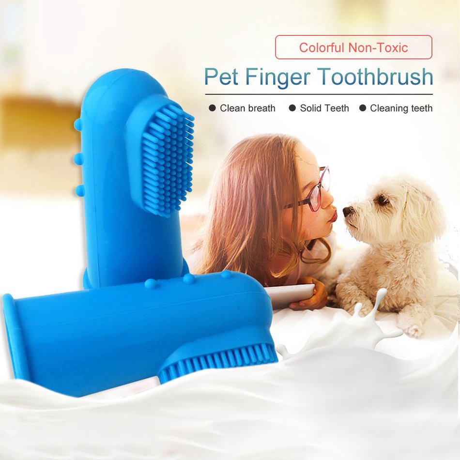 small dog finger toothbrush