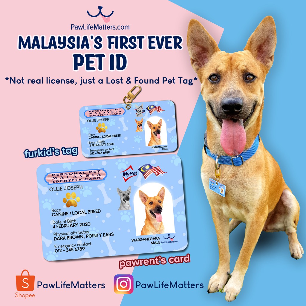 pet-id-card-template