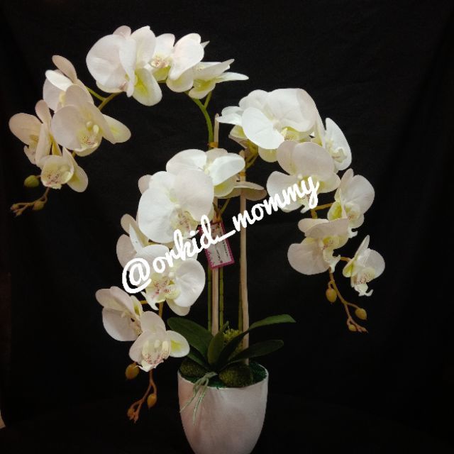  Gubahan  Bunga  Orkid  Latex 3D 3  Tangkai  Shopee Malaysia