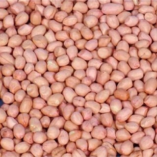 Buy KACANG TANAH 500G / 1KG  SeeTracker Malaysia