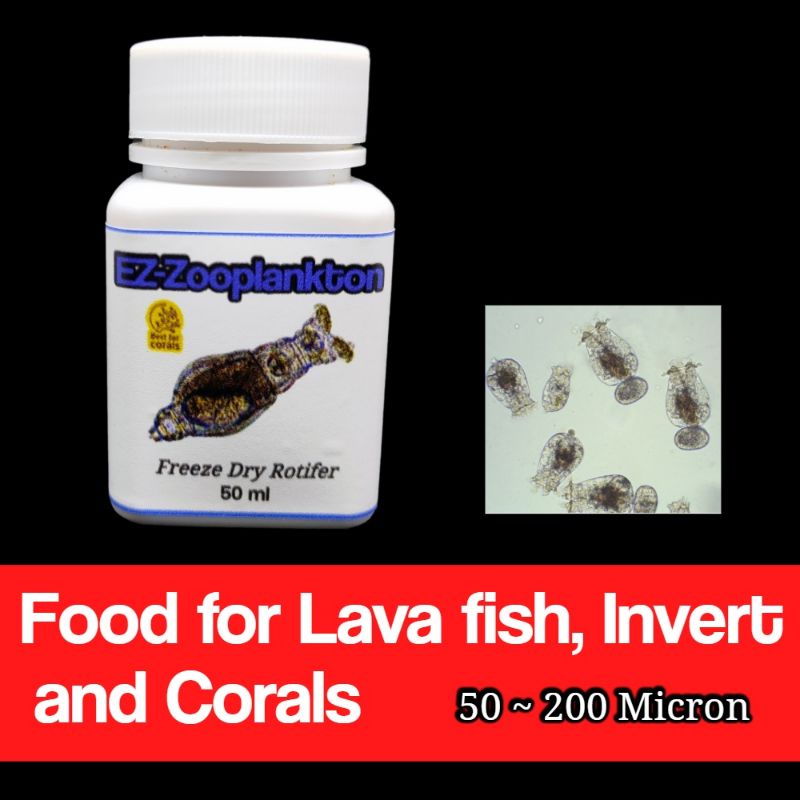 EZ Zooplankton Rotifer – concentrated freeze dry rotifer lava fry fish food and SPS/LPS coral food