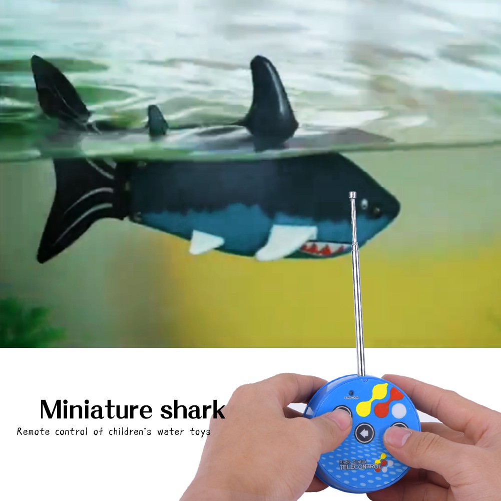 remote control fish in water