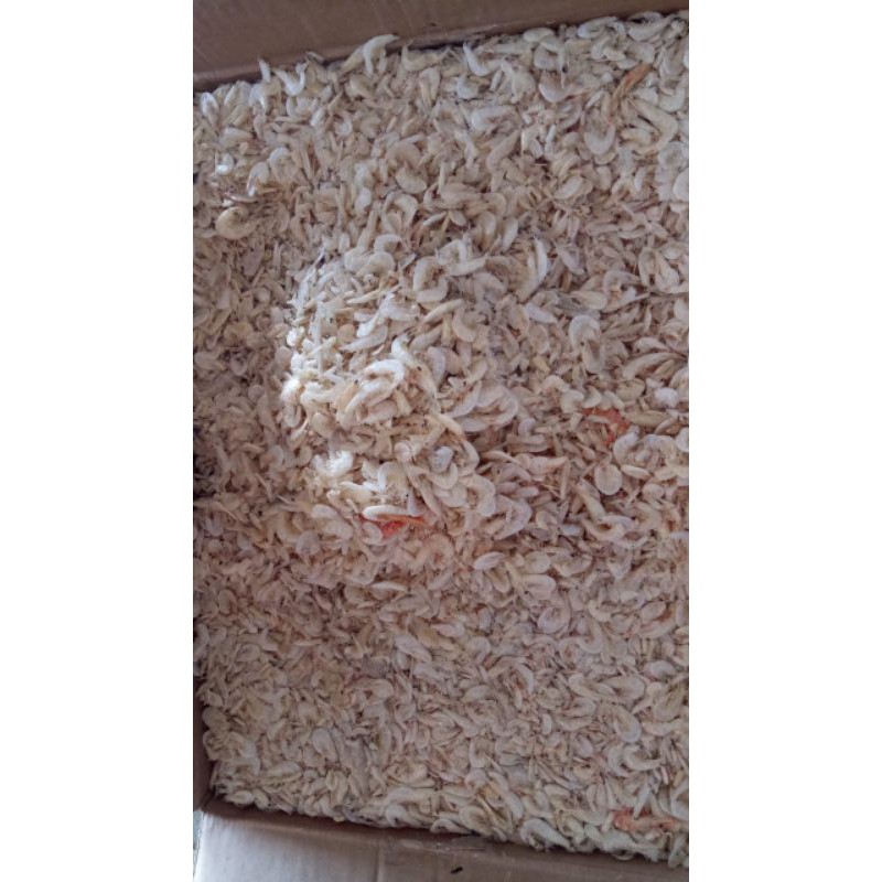 Original Rebon Shrimp Kampung Fisherman 100g / Salted Shrimp Sesar ...