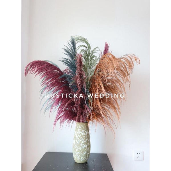 Colourful Multicolour Daun Pampas Kering Natural Pampas Grass Deco ...