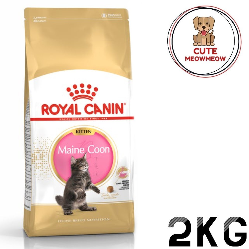 ROYAL CANIN Kitten Maine Coon Cat Food 0.4 kg