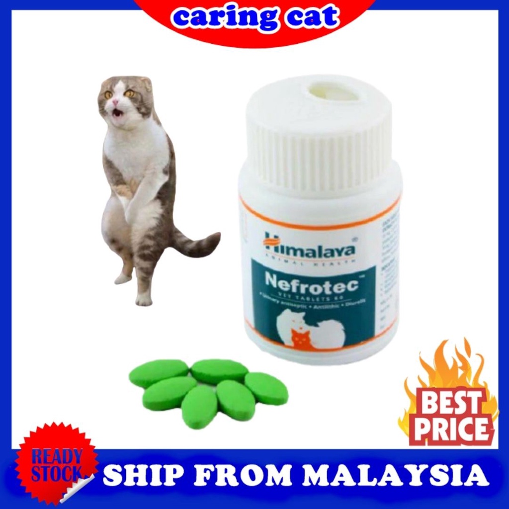 Ubat Batu Karang Kucing Anjing Shopee Malaysia