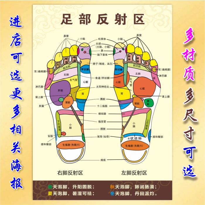 Human Foot Massage Acupuncture Point Map Foot Reflection Area人体足底按摩穴位图足部反射区 图片足疗脚底中医养生美容院海报jiehado My Shopee Malaysia