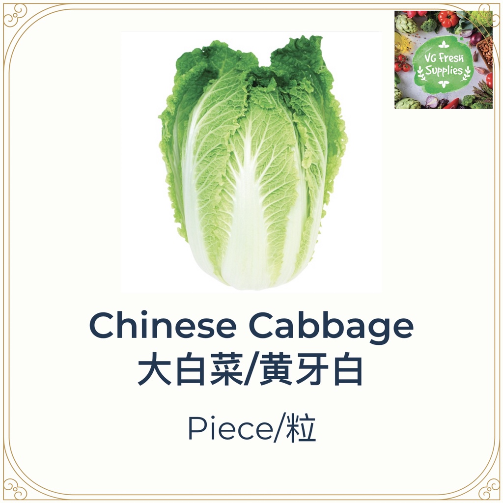 Chinese Cabbage Cabbage Long Kubis Panjang 大白菜 黄芽白 Piece Shopee Malaysia