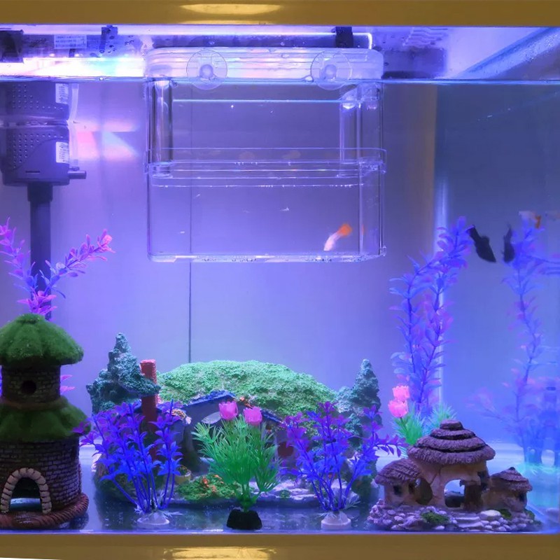 Small Fish Breeding Box 繁殖盒 隔離盒 魚缸孵化盒多功能斗魚隔離盒桌面魚缸鳳尾孔雀魚繁殖熱帶魚產卵器 Qvna