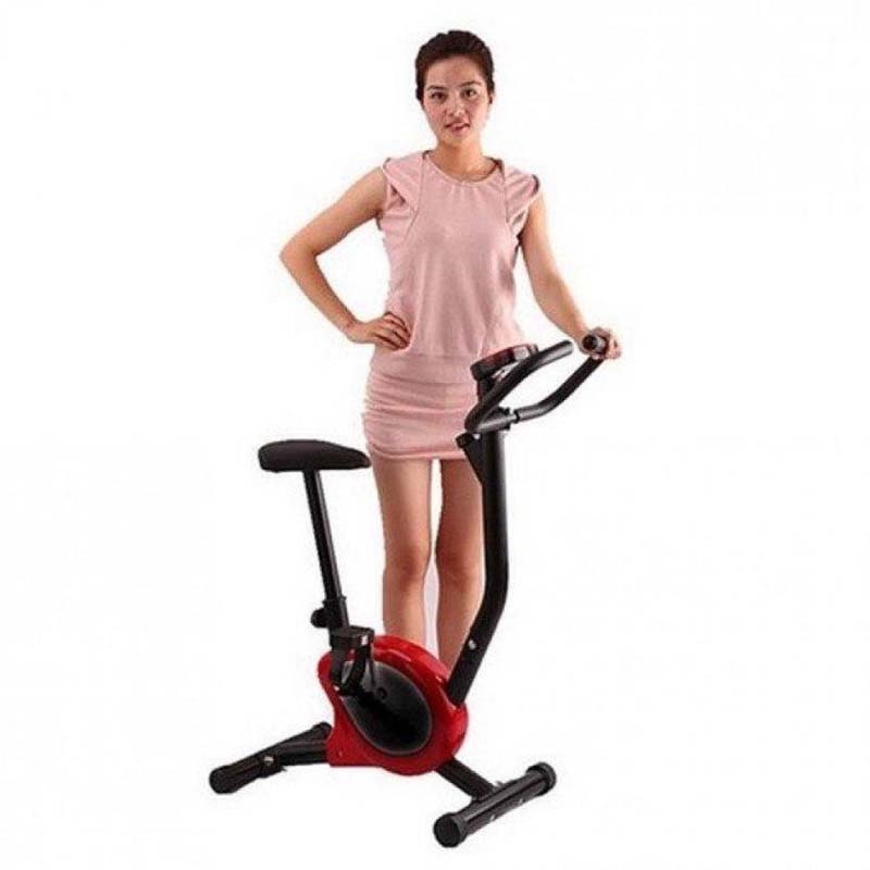 fortis home & office exercise bike
