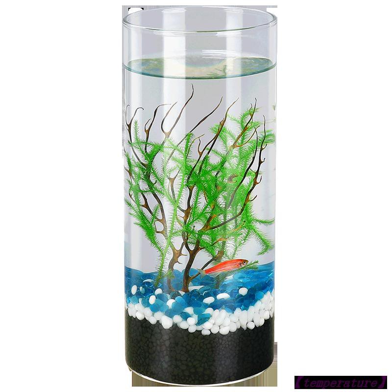 mini aquarium diy