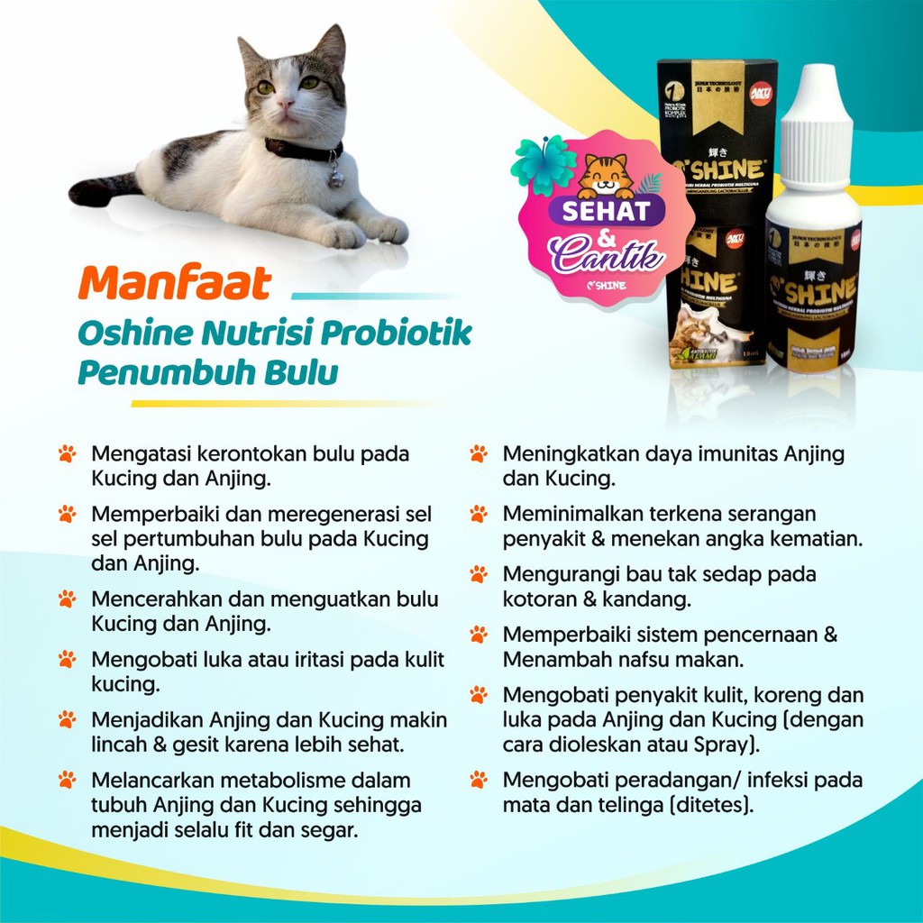 Oshine Probiotic Herbal Nutrition - Cat Hair Growth - Cat Hair 